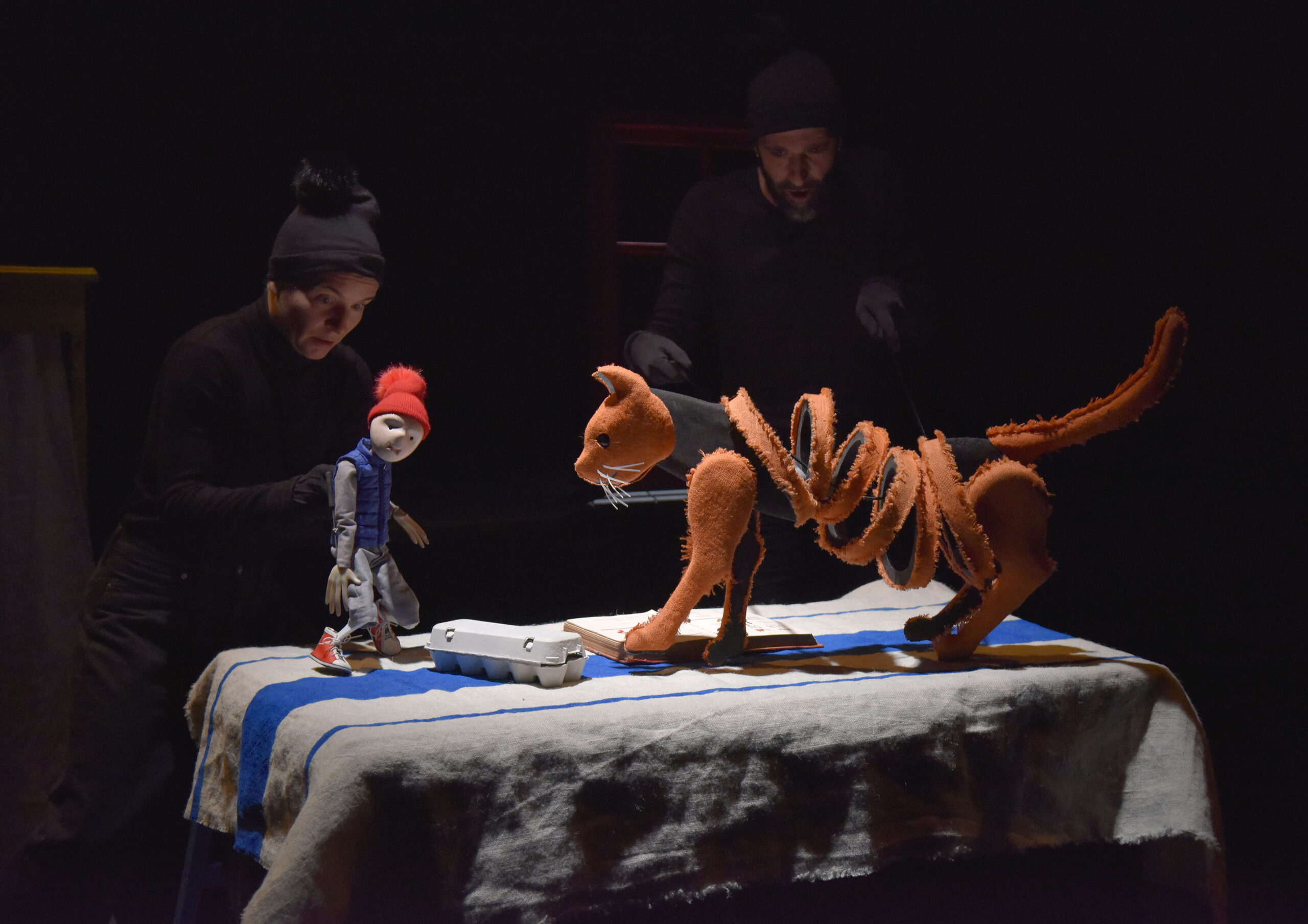 Cie Pied de Biche "Nils, le merveilleux voyage"