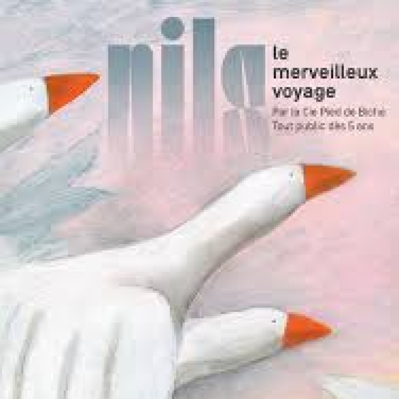 Cie Pied de Biche "Nils, le merveilleux voyage"